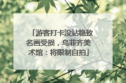 游客打卡没站稳致名画受损，乌菲齐美术馆：将限制自拍