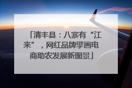 清丰县：八寨有“江来”，网红品牌擘画电商助农发展新图景