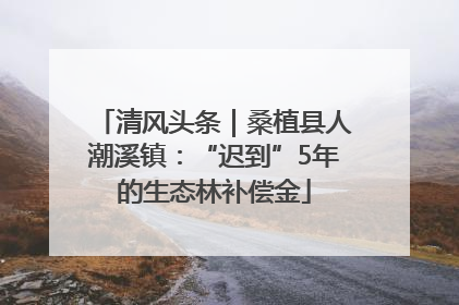 清风头条｜桑植县人潮溪镇：“迟到”5年的生态林补偿金