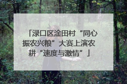 渌口区淦田村“同心振农兴粮”大赛上演农耕“速度与激情”