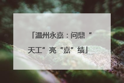 温州永嘉：问鼎“天工”亮“嘉”绩