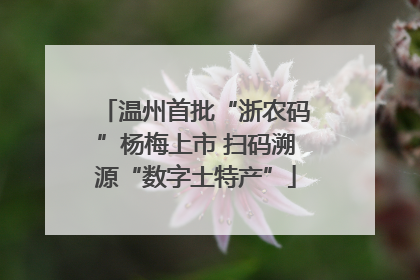 温州首批“浙农码”杨梅上市 扫码溯源“数字土特产”