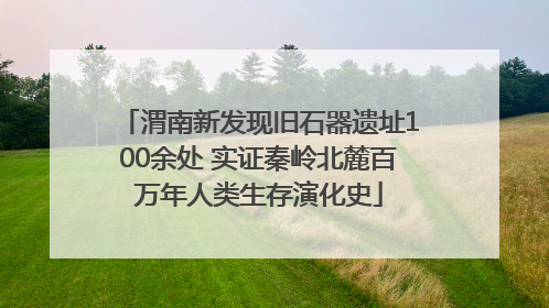 渭南新发现旧石器遗址100余处 实证秦岭北麓百万年人类生存演化史