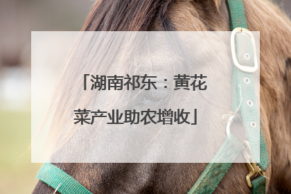 湖南祁东：黄花菜产业助农增收