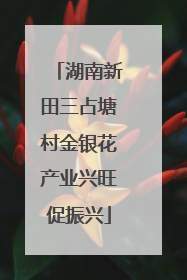 湖南新田三占塘村金银花产业兴旺促振兴