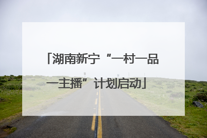 湖南新宁“一村一品一主播”计划启动