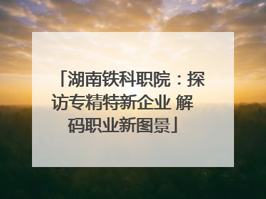 湖南铁科职院：探访专精特新企业 解码职业新图景