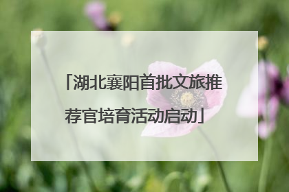 湖北襄阳首批文旅推荐官培育活动启动