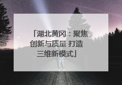 湖北黄冈：聚焦创新与质量 打造三维新模式