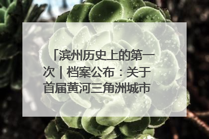 滨州历史上的第一次｜档案公布：关于首届黄河三角洲城市经济博览会暨发展论坛情况的总结报告