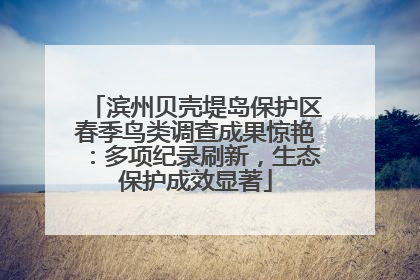 滨州贝壳堤岛保护区春季鸟类调查成果惊艳：多项纪录刷新，生态保护成效显著