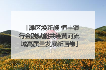 滩区焕新颜 恒丰银行金融赋能共绘黄河流域高质量发展新画卷
