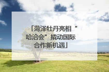 菏泽牡丹亮相“哈洽会”撬动国际合作新机遇