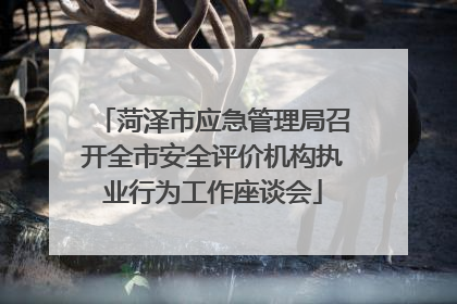 菏泽市应急管理局召开全市安全评价机构执业行为工作座谈会