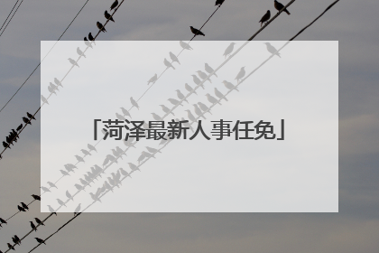 菏泽最新人事任免