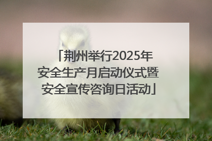 荆州举行2025年安全生产月启动仪式暨安全宣传咨询日活动