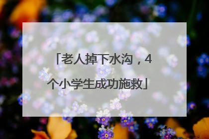老人掉下水沟，4个小学生成功施救