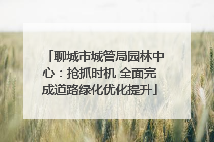 聊城市城管局园林中心：抢抓时机 全面完成道路绿化优化提升