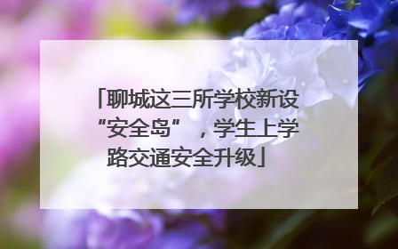聊城这三所学校新设“安全岛”，学生上学路交通安全升级