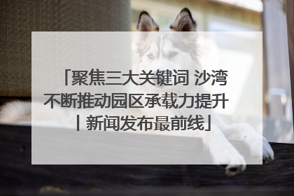 聚焦三大关键词 沙湾不断推动园区承载力提升丨新闻发布最前线