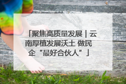 聚焦高质量发展｜云南厚植发展沃土 做民企“最好合伙人”