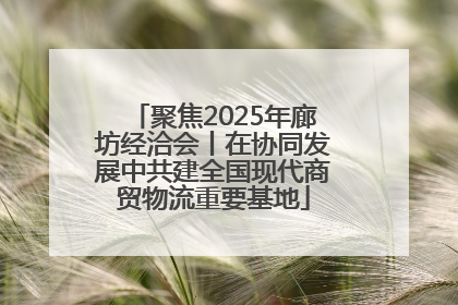 聚焦2025年廊坊经洽会丨在协同发展中共建全国现代商贸物流重要基地