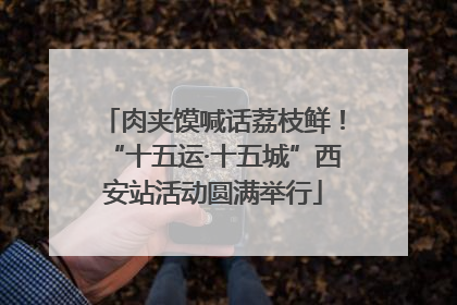 肉夹馍喊话荔枝鲜！“十五运·十五城”西安站活动圆满举行
