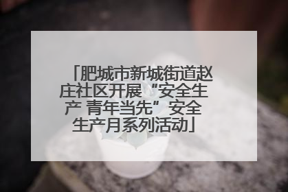 肥城市新城街道赵庄社区开展“安全生产 青年当先”安全生产月系列活动
