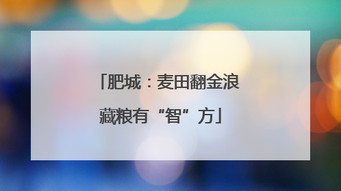 肥城：麦田翻金浪藏粮有“智”方