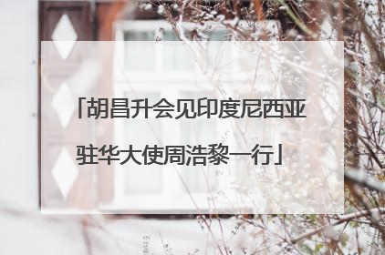 胡昌升会见印度尼西亚驻华大使周浩黎一行
