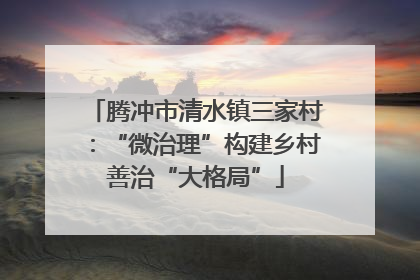腾冲市清水镇三家村：“微治理”构建乡村善治“大格局”