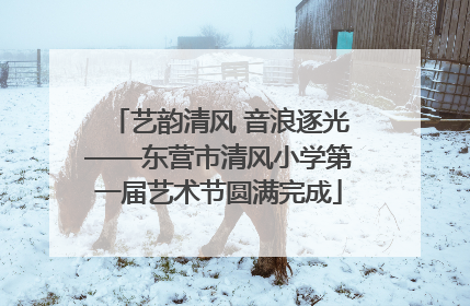 艺韵清风 音浪逐光——东营市清风小学第一届艺术节圆满完成
