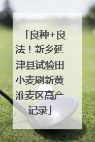 良种+良法！新乡延津县试验田小麦刷新黄淮麦区高产记录