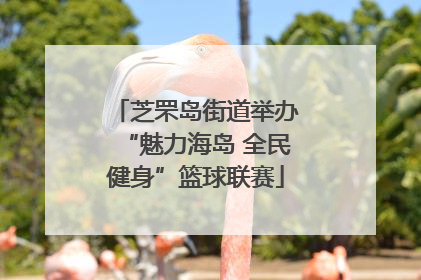 芝罘岛街道举办“魅力海岛 全民健身”篮球联赛