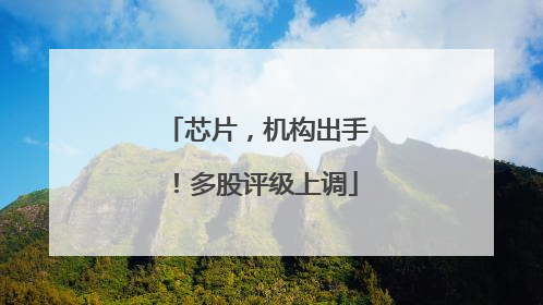 芯片，机构出手！多股评级上调