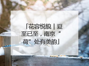 花容悦貌｜夏至已至，南京“荷”处有美韵