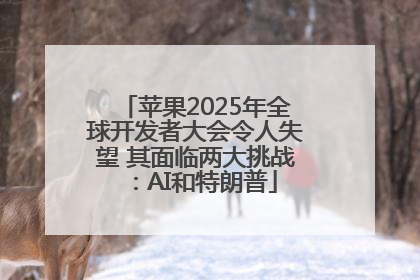 苹果2025年全球开发者大会令人失望 其面临两大挑战：AI和特朗普