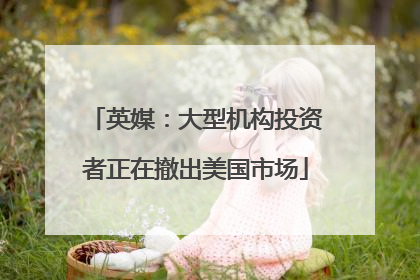 英媒：大型机构投资者正在撤出美国市场
