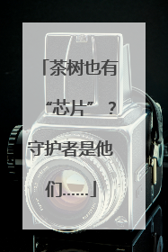 茶树也有“芯片”？守护者是他们……