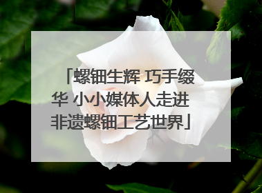 螺钿生辉 巧手缀华 小小媒体人走进非遗螺钿工艺世界