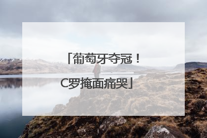 葡萄牙夺冠！C罗掩面痛哭