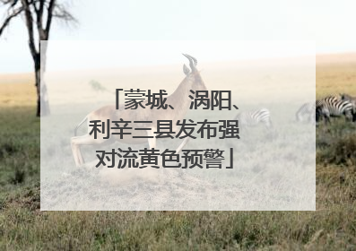 蒙城、涡阳、利辛三县发布强对流黄色预警