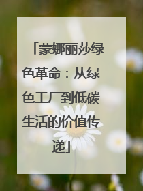 蒙娜丽莎绿色革命：从绿色工厂到低碳生活的价值传递