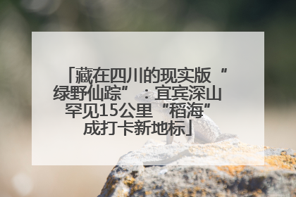 藏在四川的现实版“绿野仙踪”：宜宾深山罕见15公里“稻海”成打卡新地标