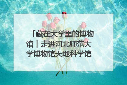 藏在大学里的博物馆｜走进河北师范大学博物馆天地科学馆：在校园里赴一场“宇宙之约”