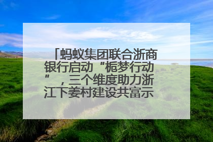 蚂蚁集团联合浙商银行启动“栀梦行动”，三个维度助力浙江下姜村建设共富示范区示范点