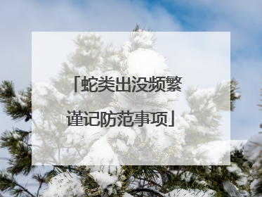 蛇类出没频繁 谨记防范事项