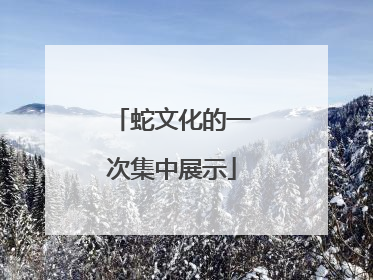蛇文化的一次集中展示