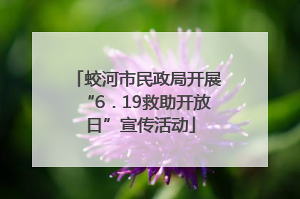 蛟河市民政局开展“6．19救助开放日”宣传活动
