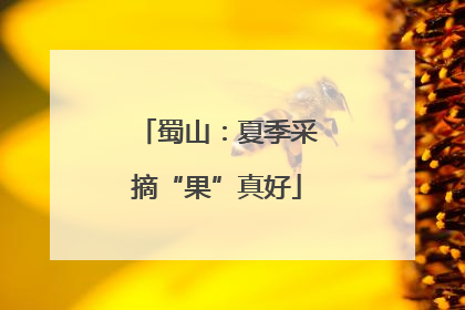 蜀山：夏季采摘“果”真好